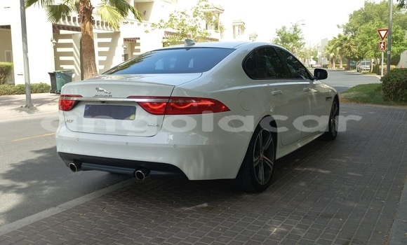 Comprar Usado Jaguar XF Branco Carro em Luanda em Luanda Province Comprar Usado Jaguar XF Branco Carro em Luanda em Luanda Province