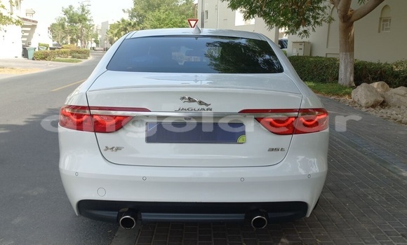 Comprar Usado Jaguar XF Branco Carro em Luanda em Luanda Province Comprar Usado Jaguar XF Branco Carro em Luanda em Luanda Province