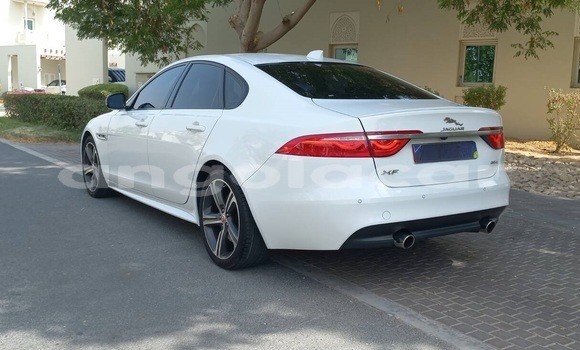Comprar Usado Jaguar XF Branco Carro em Luanda em Luanda Province Comprar Usado Jaguar XF Branco Carro em Luanda em Luanda Province
