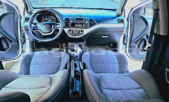 Buy Used Kia Picanto White Car in Camabatela in Uige Buy Used Kia Picanto White Car in Camabatela in Uige