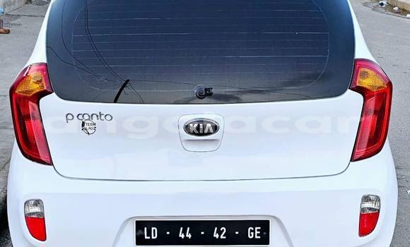Buy Used Kia Picanto White Car in Camabatela in Uige Buy Used Kia Picanto White Car in Camabatela in Uige