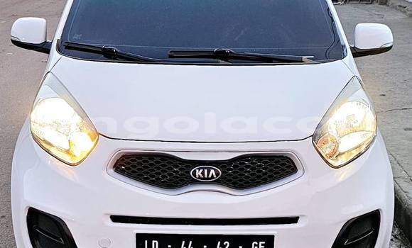 Buy Used Kia Picanto White Car in Camabatela in Uige Buy Used Kia Picanto White Car in Camabatela in Uige