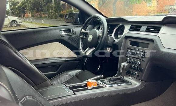 Comprar Usado FORD MUSTANG Vermelho Carro em Camabatela em Uige Comprar Usado FORD MUSTANG Vermelho Carro em Camabatela em Uige