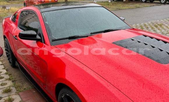 Comprar Usado FORD MUSTANG Vermelho Carro em Camabatela em Uige Comprar Usado FORD MUSTANG Vermelho Carro em Camabatela em Uige