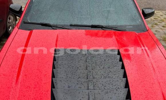Comprar Usado FORD MUSTANG Vermelho Carro em Camabatela em Uige Comprar Usado FORD MUSTANG Vermelho Carro em Camabatela em Uige
