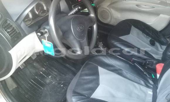 Comprar Usado Kia Picanto Outro Carro em Catabola em Bie Comprar Usado Kia Picanto Outro Carro em Catabola em Bie