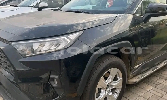 Buy Used Toyota RAV4 White Car in Luanda in Luanda Province Buy Used Toyota RAV4 White Car in Luanda in Luanda Province