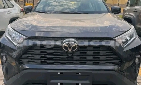 Buy Used Toyota RAV4 White Car in Luanda in Luanda Province Buy Used Toyota RAV4 White Car in Luanda in Luanda Province