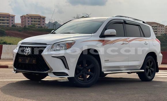 Buy Used Toyota RAV4 White Car in Luanda in Luanda Province Buy Used Toyota RAV4 White Car in Luanda in Luanda Province