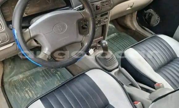 Comprar Usado Toyota Corolla Outro Carro em Camabatela em Uige Comprar Usado Toyota Corolla Outro Carro em Camabatela em Uige