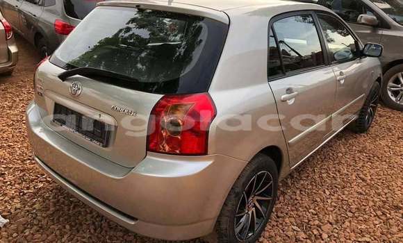 Comprar Usado Toyota Corolla Outro Carro em Catchiungo em Huambo Comprar Usado Toyota Corolla Outro Carro em Catchiungo em Huambo