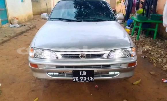 Comprar Usado Toyota Ractis Outro Carro em Catabola em Bie Comprar Usado Toyota Ractis Outro Carro em Catabola em Bie