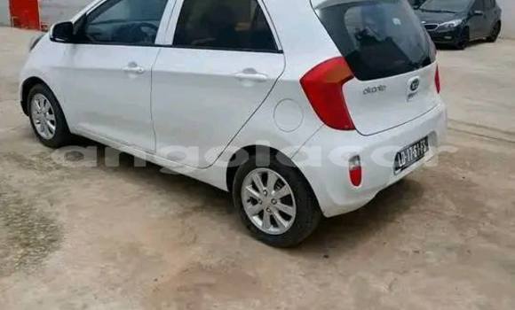 Buy Used Kia Morning White Car in Catabola in Bie Buy Used Kia Morning White Car in Catabola in Bie
