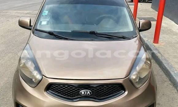 Comprar Usado Kia Picanto Outro Carro em Catabola em Bie Comprar Usado Kia Picanto Outro Carro em Catabola em Bie