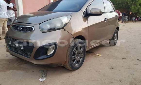 Buy Used Kia Picanto Other Car in Camacupa in Bie Buy Used Kia Picanto Other Car in Camacupa in Bie