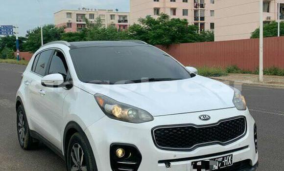 Buy Used Kia Sportage Other Car in Luanda in Luanda Province Buy Used Kia Sportage Other Car in Luanda in Luanda Province