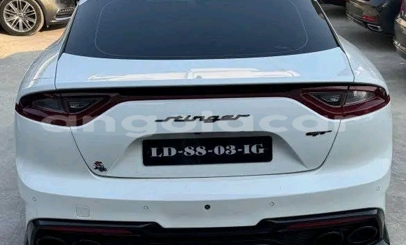 Buy Used Kia Stinger White Car in Luanda in Luanda Province Buy Used Kia Stinger White Car in Luanda in Luanda Province