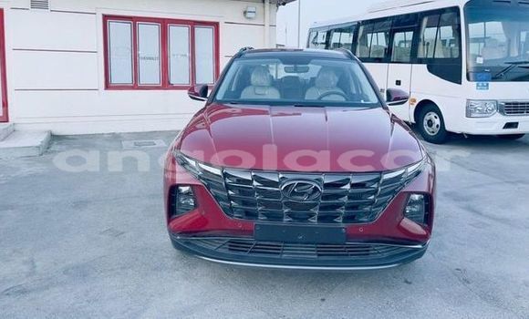 Buy Used Hyundai Tucson Red Car in Luanda in Luanda Province Buy Used Hyundai Tucson Red Car in Luanda in Luanda Province