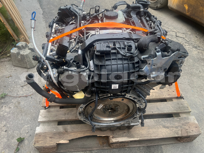 Big with watermark e