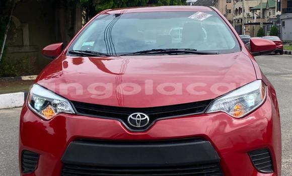 Buy Used Toyota Corolla Red Car in Lobito in Benguela Buy Used Toyota Corolla Red Car in Lobito in Benguela