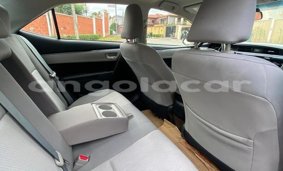 Buy Used Toyota Corolla Red Car in Lobito in Benguela Buy Used Toyota Corolla Red Car in Lobito in Benguela