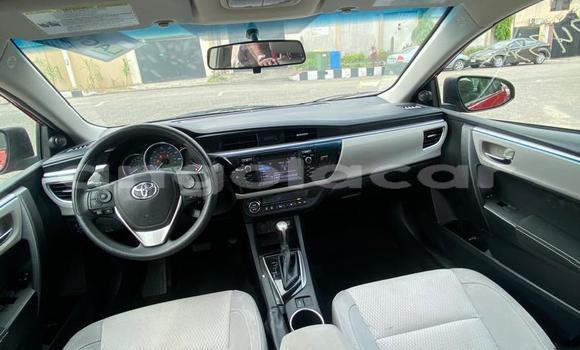 Buy Used Toyota Corolla Red Car in Lobito in Benguela Buy Used Toyota Corolla Red Car in Lobito in Benguela