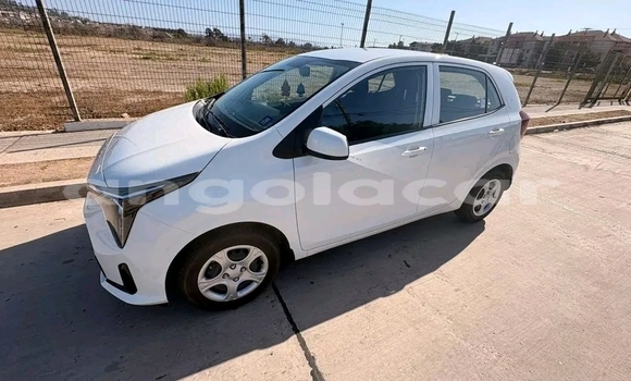 Comprar Usado Kia Morning Branco Carro em Luanda em Luanda Province Comprar Usado Kia Morning Branco Carro em Luanda em Luanda Province