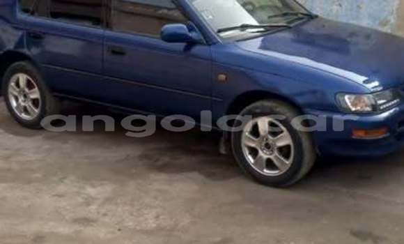 Buy Used Toyota Allex Blue Car in Luanda in Luanda Province Buy Used Toyota Allex Blue Car in Luanda in Luanda Province