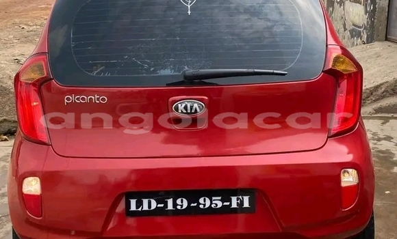 Comprar Usado Kia Picanto Vermelho Carro em Camacupa em Bie Comprar Usado Kia Picanto Vermelho Carro em Camacupa em Bie