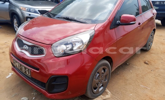 Buy Used Kia Picanto Red Car in Luanda in Luanda Province Buy Used Kia Picanto Red Car in Luanda in Luanda Province