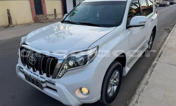 Comprar Usado Toyota Land Cruiser Branco Carro em Camacupa em Bie Comprar Usado Toyota Land Cruiser Branco Carro em Camacupa em Bie