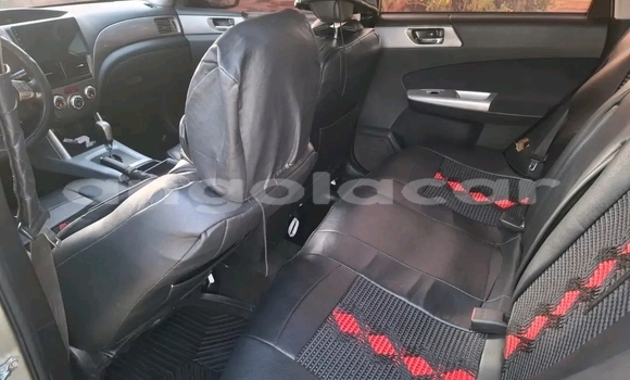 Comprar Usado Subaru Forester Other Carro em Kuito em Província do Bié Comprar Usado Subaru Forester Other Carro em Kuito em Província do Bié