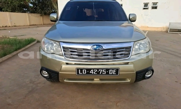 Comprar Usado Subaru Forester Other Carro em Kuito em Província do Bié Comprar Usado Subaru Forester Other Carro em Kuito em Província do Bié