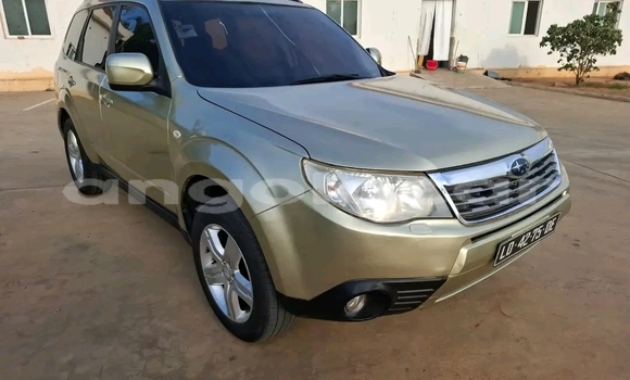 Comprar Usado Subaru Forester Other Carro em Kuito em Província do Bié Comprar Usado Subaru Forester Other Carro em Kuito em Província do Bié