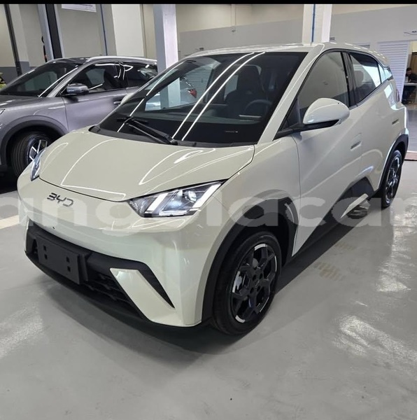 Big with watermark byd seagull luanda province luanda 39861