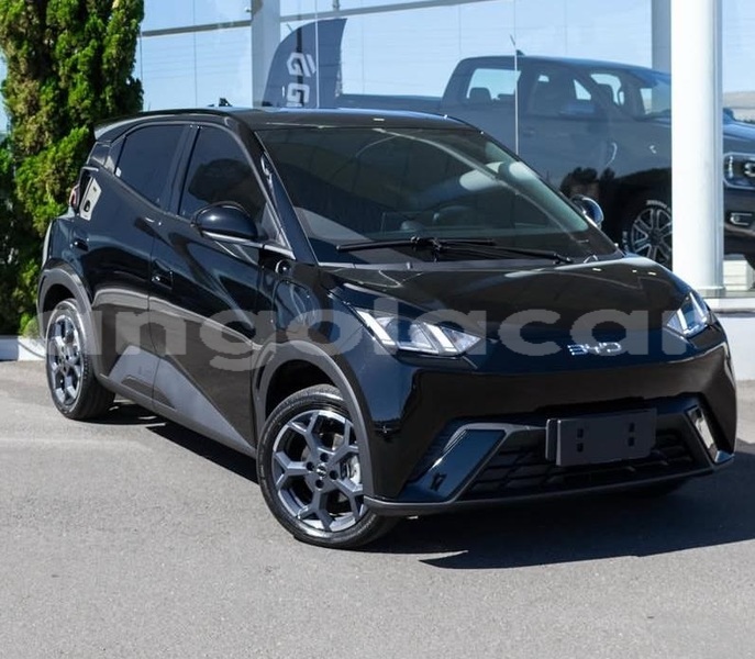 Big with watermark byd seagull luanda province luanda 39861