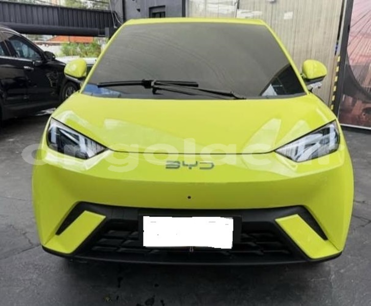 Big with watermark byd seagull luanda province luanda 39861