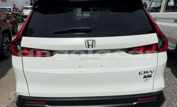 Buy Used Honda Civic White Car in Luanda in Luanda Province Buy Used Honda Civic White Car in Luanda in Luanda Province