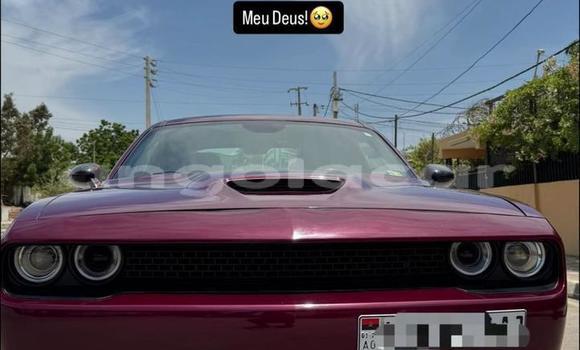 Comprar Usado Dodge Challenger Marrom Carro em Luanda em Luanda Province
