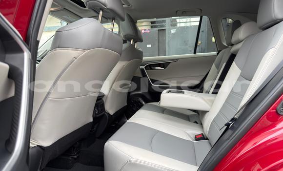Buy Used Toyota RAV4 Red Car in Luanda in Luanda Province Buy Used Toyota RAV4 Red Car in Luanda in Luanda Province
