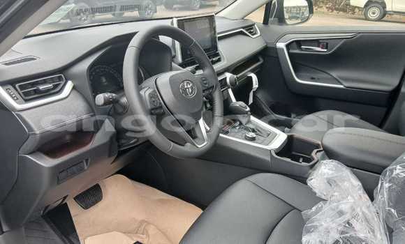 Buy Used Toyota RAV4 Black Car in Luanda in Luanda Province Buy Used Toyota RAV4 Black Car in Luanda in Luanda Province