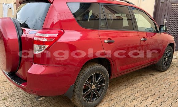 Buy Used Toyota RAV4 Red Car in Luanda in Luanda Province Buy Used Toyota RAV4 Red Car in Luanda in Luanda Province