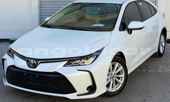 Comprar Usado Toyota Corolla Branco Carro em Luanda em Luanda Province