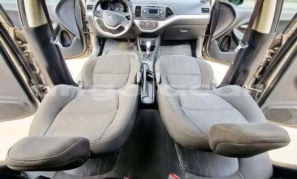 Comprar Usado Kia Picanto Other Carro em Luanda em Luanda Province Comprar Usado Kia Picanto Other Carro em Luanda em Luanda Province