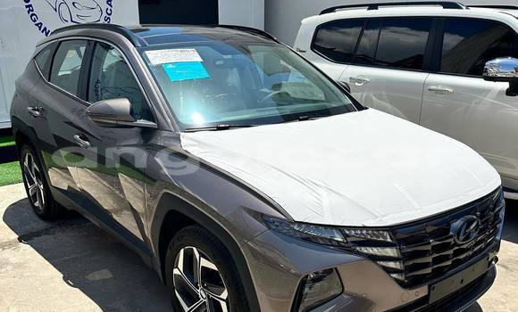 Buy Used Hyundai Tucson Other Car in Luanda in Luanda Province