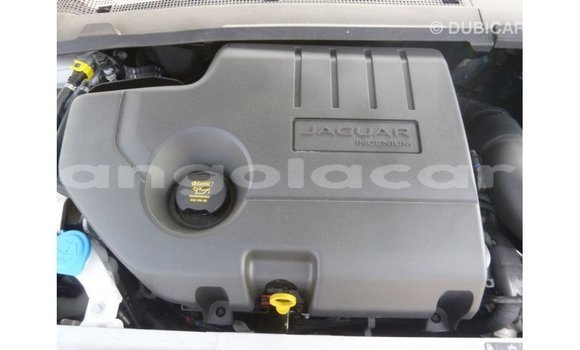 Acheter Import Voiture Jaguar E-Pace Blanc à Import - Dubai, Province de Bengo Acheter Import Voiture Jaguar E-Pace Blanc à Import - Dubai, Province de Bengo