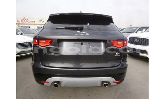 Comprar Importar Jaguar F-Type Preto Carro em Import - Dubai em Bengo Province Comprar Importar Jaguar F-Type Preto Carro em Import - Dubai em Bengo Province