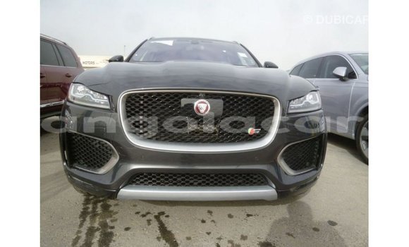 Comprar Importar Jaguar F-Type Preto Carro em Import - Dubai em Bengo Province Comprar Importar Jaguar F-Type Preto Carro em Import - Dubai em Bengo Province