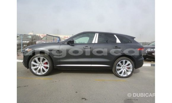 Comprar Importar Jaguar F-Type Preto Carro em Import - Dubai em Bengo Province Comprar Importar Jaguar F-Type Preto Carro em Import - Dubai em Bengo Province