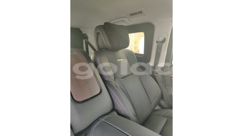 Big with watermark 9685ef9c c256 4b68 ba7e 49673c620986